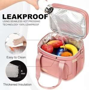 Double Deck Insulated Lunch Bag