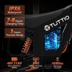 Electric Dirt Bike Adults