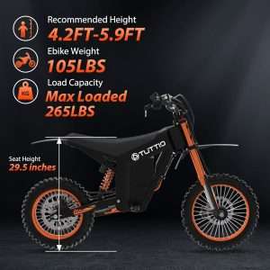 Electric Dirt Bike Adults