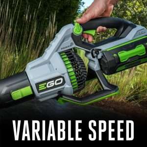 EGO Power leaf blower review