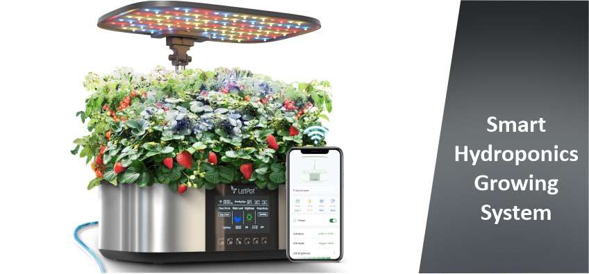 Smart Hydroponics Growing System