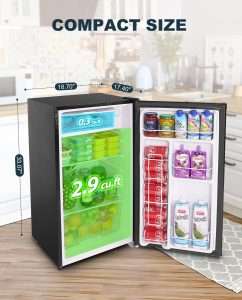 Small Fridge with Adjustable Thermostat