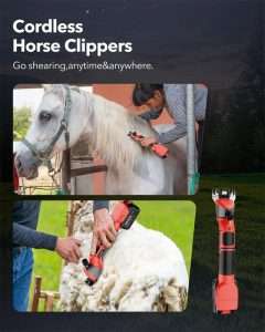 Sheep shears heavy duty