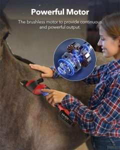 Electric horse shears kit