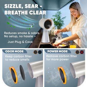 3-speed smoke remover
