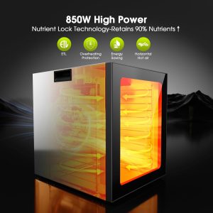 Temperature control food dryer