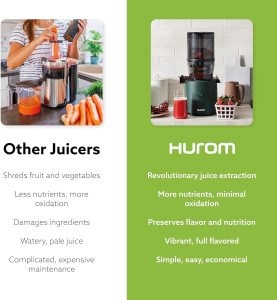 Vegetable and fruit juicer
