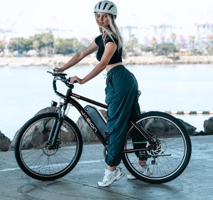 Electric Mountain Bike