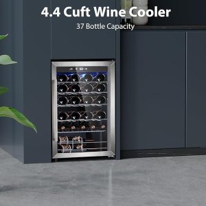 Freestanding wine refrigerator