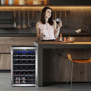 Home wine cellar fridge