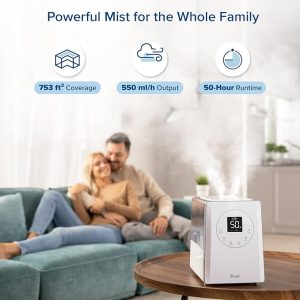 Smart Warm Cool Humidifier