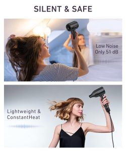 Brushless motor hair dryer