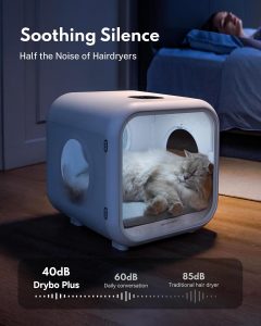 Efficient pet drying system