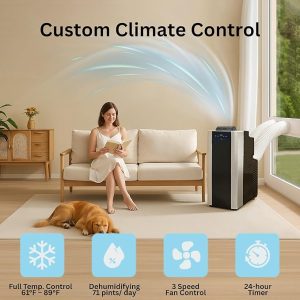 Portable AC with dehumidifier