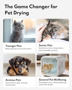 Quiet cat drying box