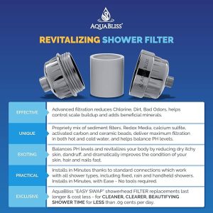 high output shower filter system
