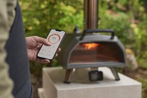 dual fuel pizza oven