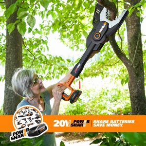 Power Share chainsaw