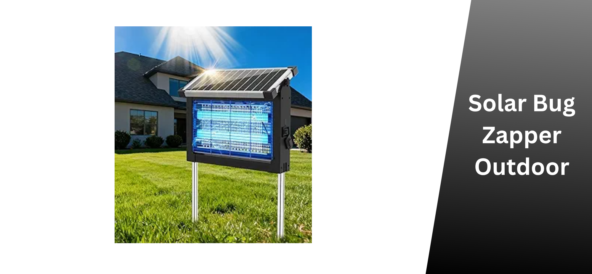 Solar Bug Zapper Outdoor