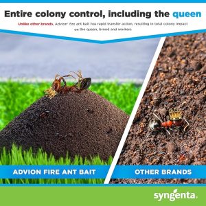fire ant killer bait