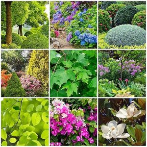 outdoor plant fertilizer