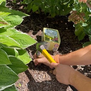 slow release plant food