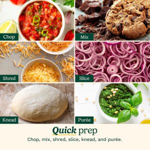 food processor for shredding