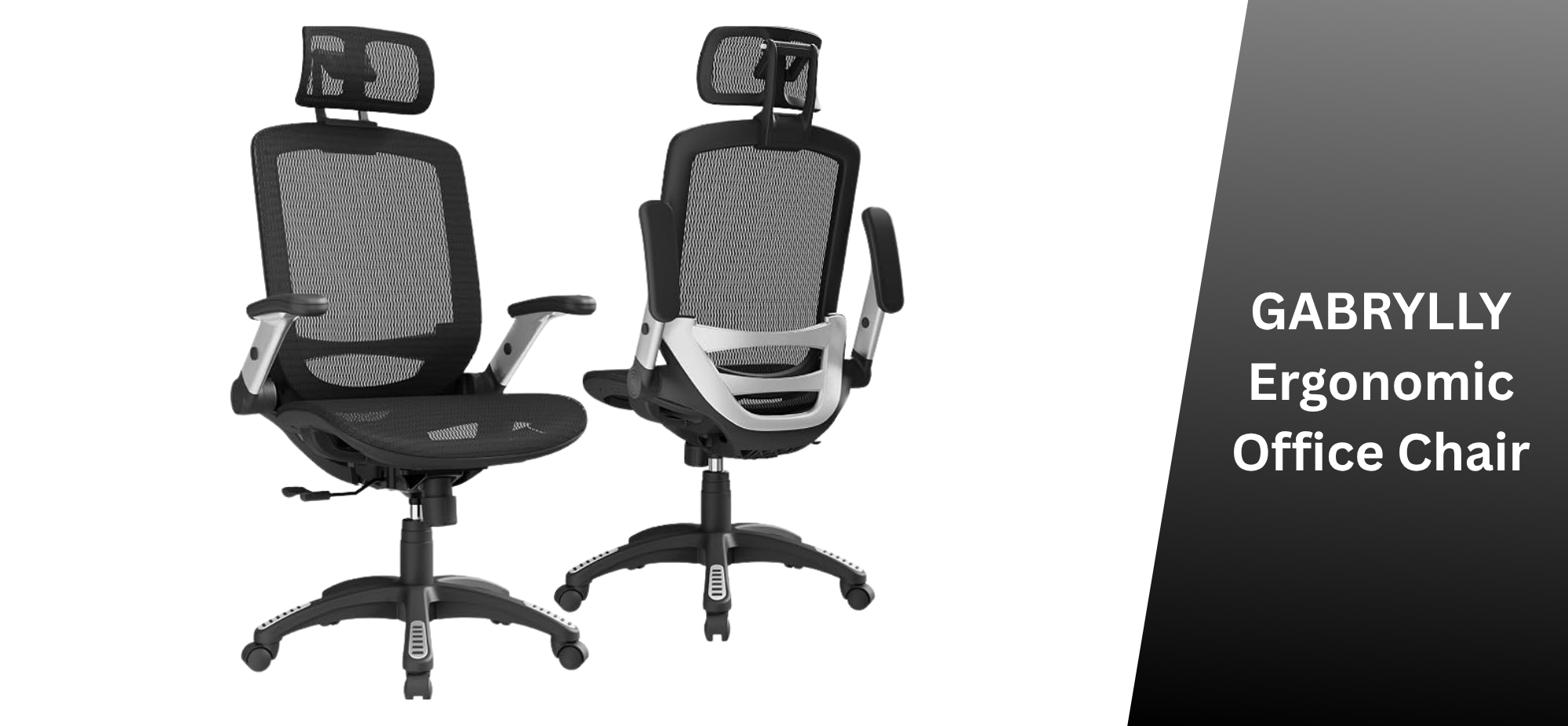 GABRYLLY Ergonomic Office Chair
