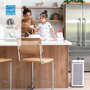 HEPA air purifier home