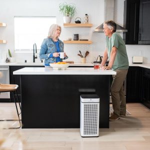 air purifier for smoke