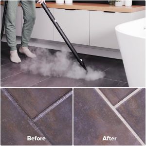 home steam cleaning system