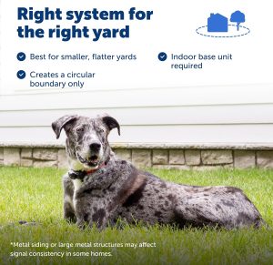 wireless fence for pets